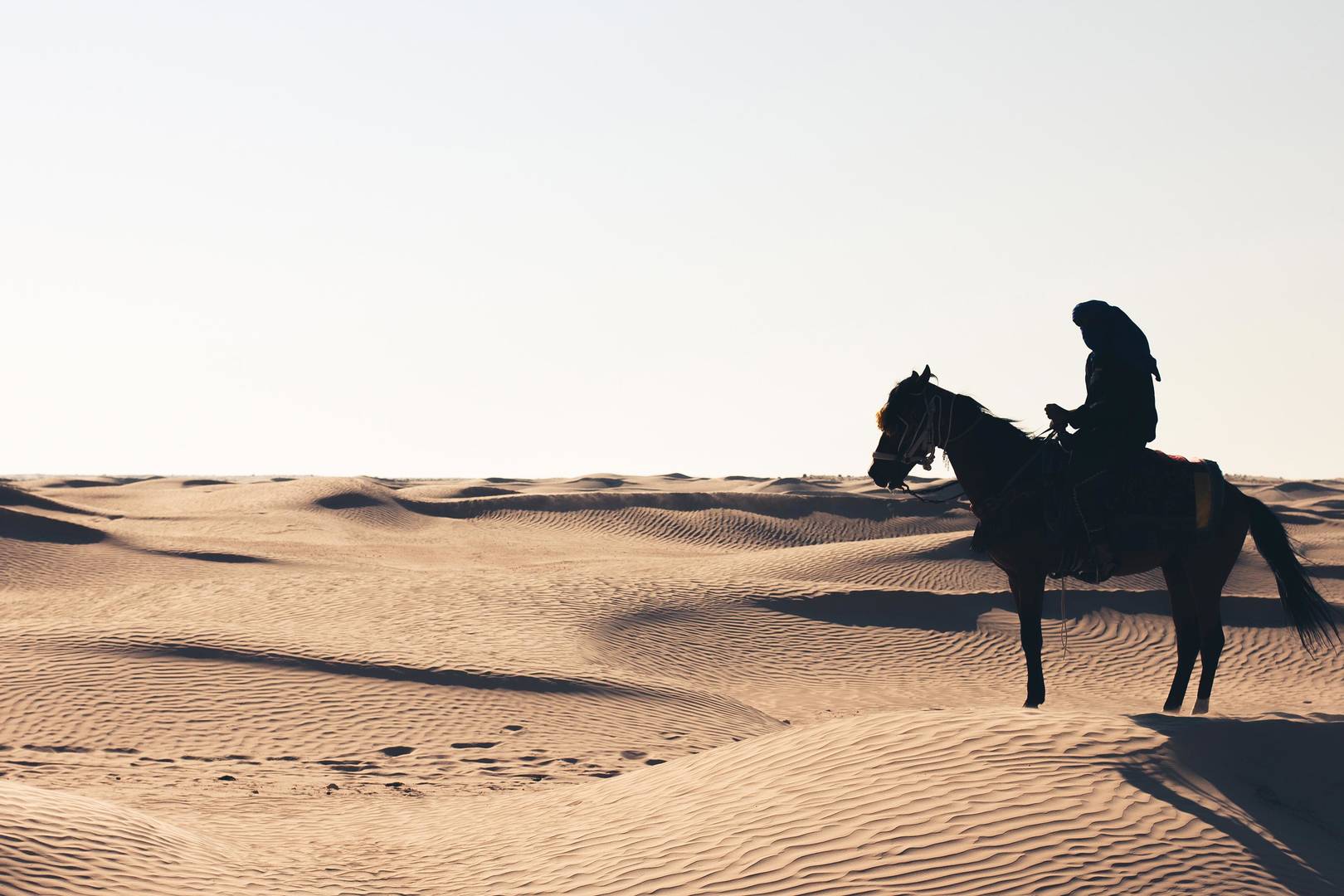 Explore the desert on horseback | Al Wathba |Jumeirah