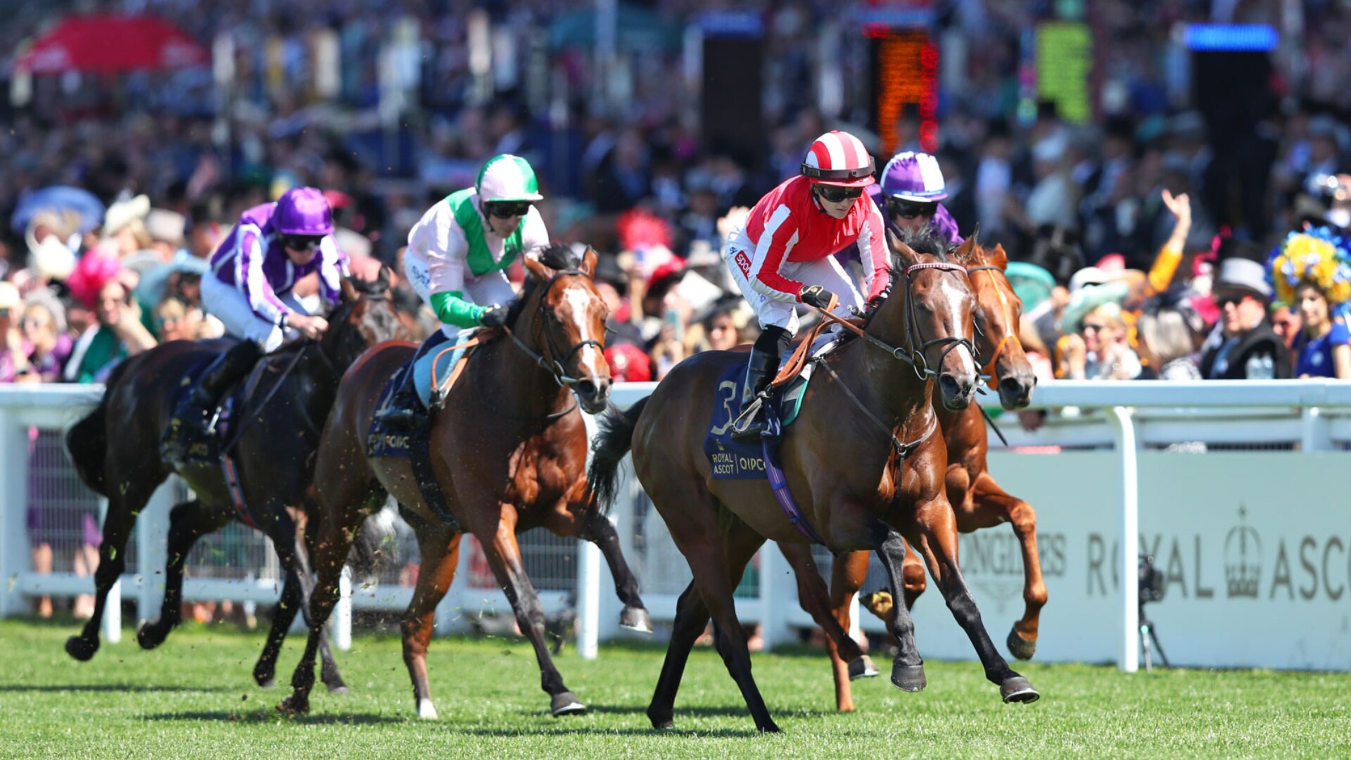 JLH Ascot Summer Article 1920 x 1080