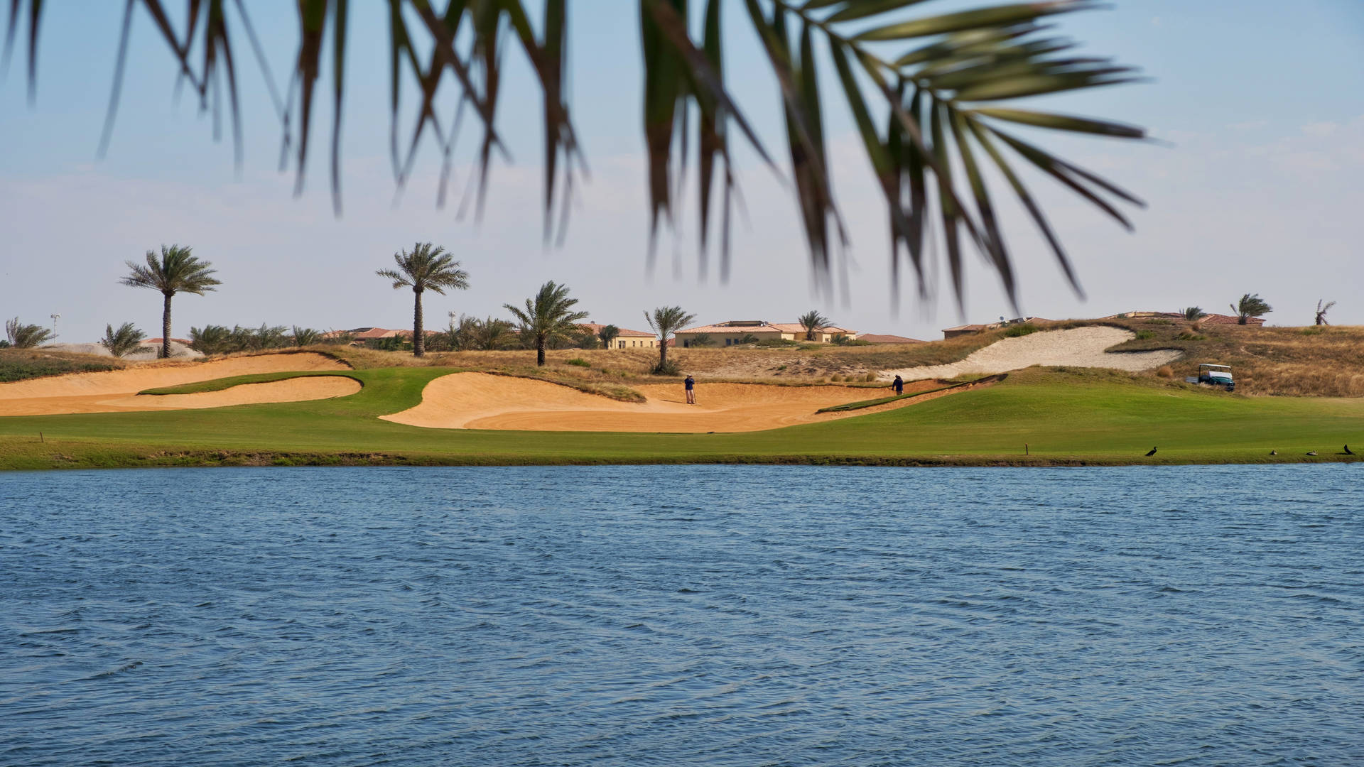 Saadiyat Golf Course on a sunny day