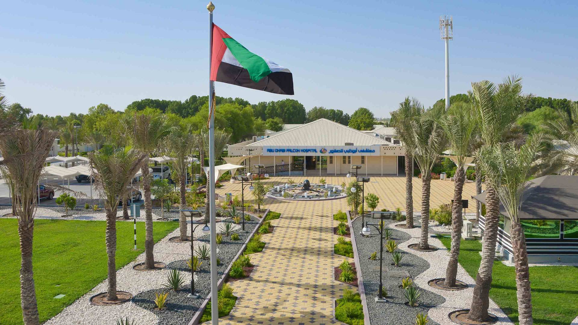 Abu Dhabi for kids - falcon hospita