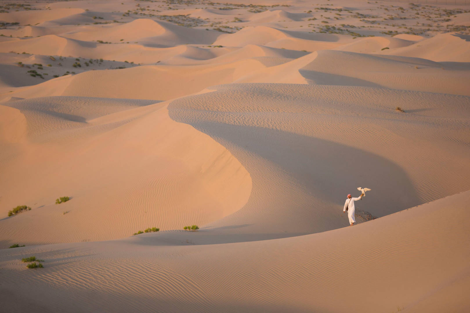 Mann mit einem Falken in der Wüste