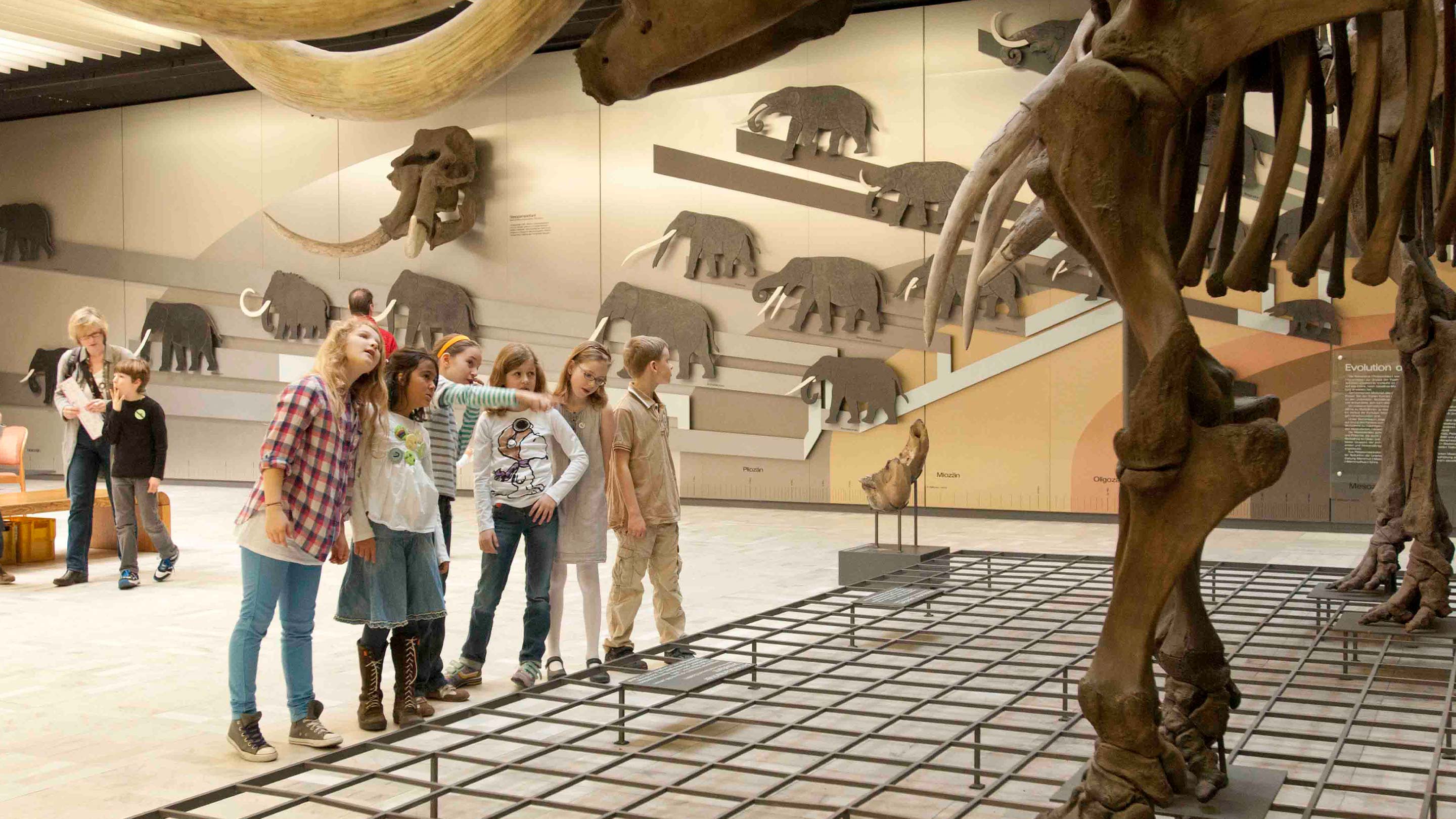 five-fun-things-to-do-in-frankfurt-with-kids-jumeirah