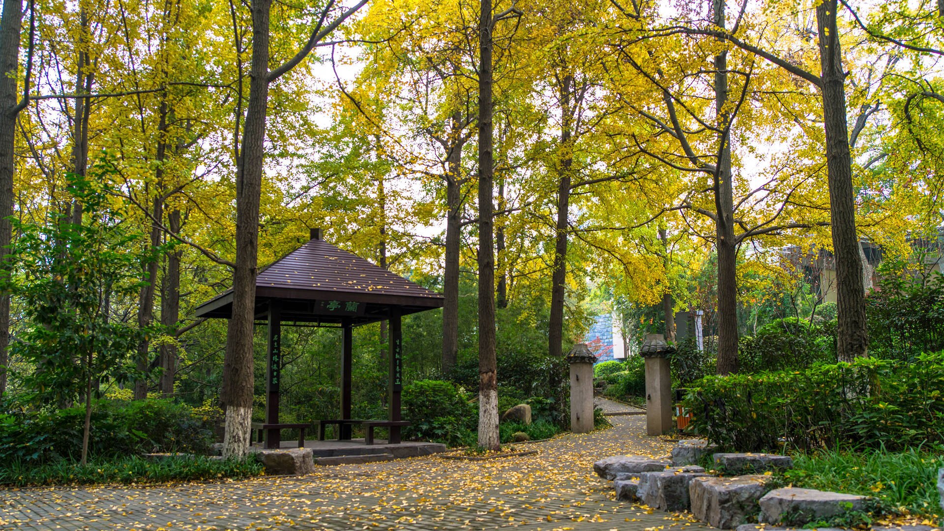Qinglianshan Park