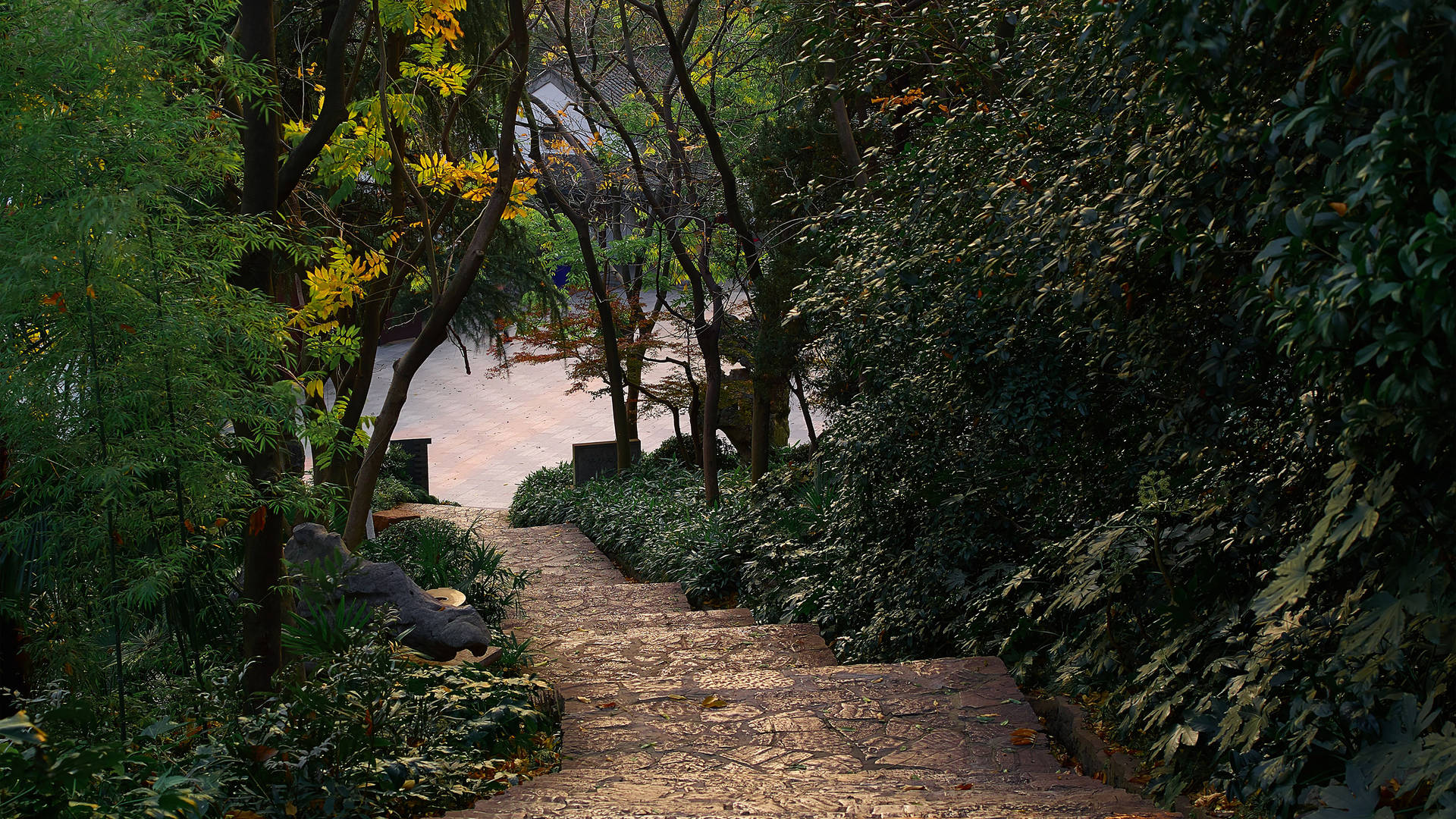 Qinglianshan Park path