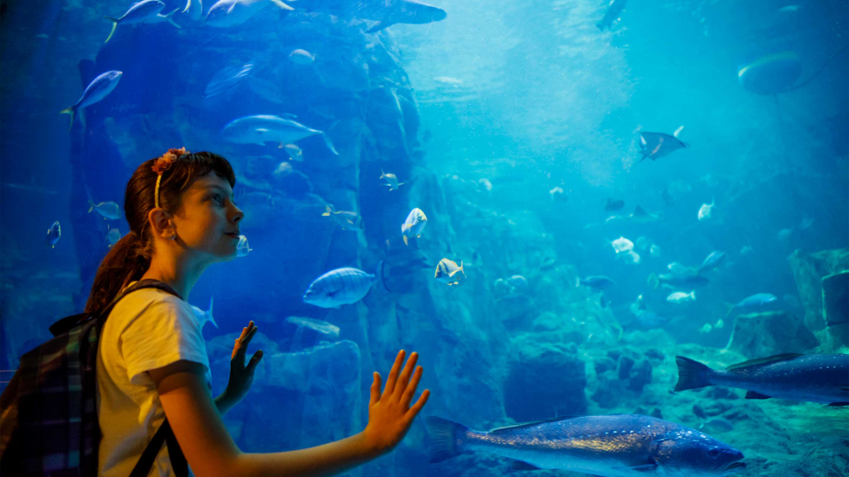 16-9 семья в аквариуме Underwater world
