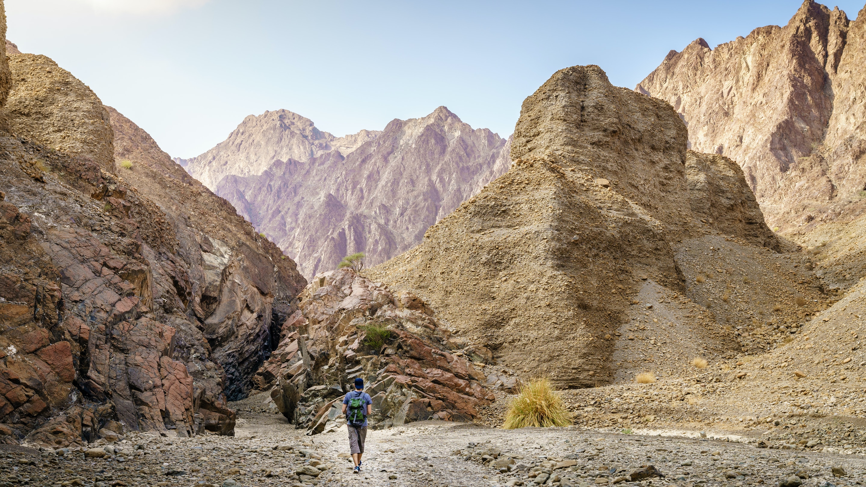 Animal adventures in Hatta hiking mountains