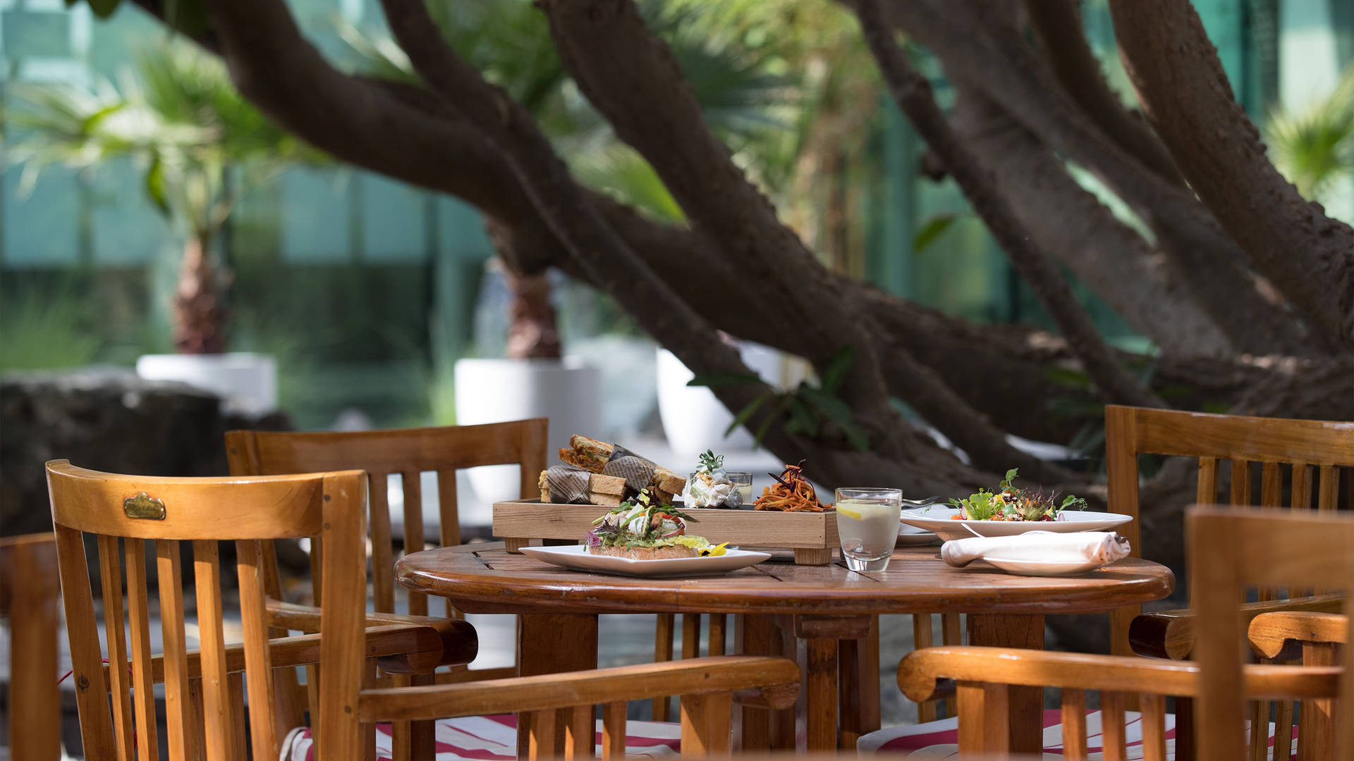 A table of colourful salads and sandwiches at Plumeria restaurant, Jumeirah Creekside Hotel