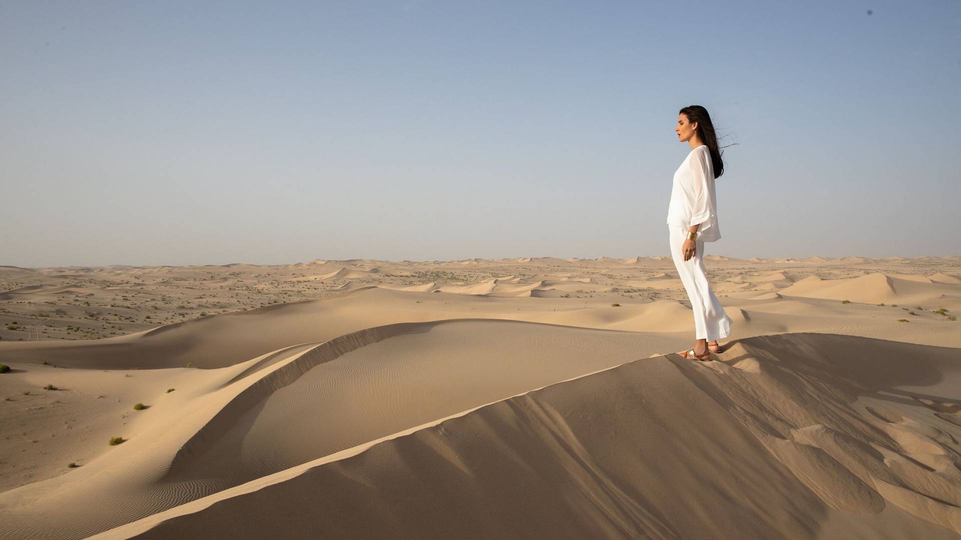 Sand dunes in Dubai's desert