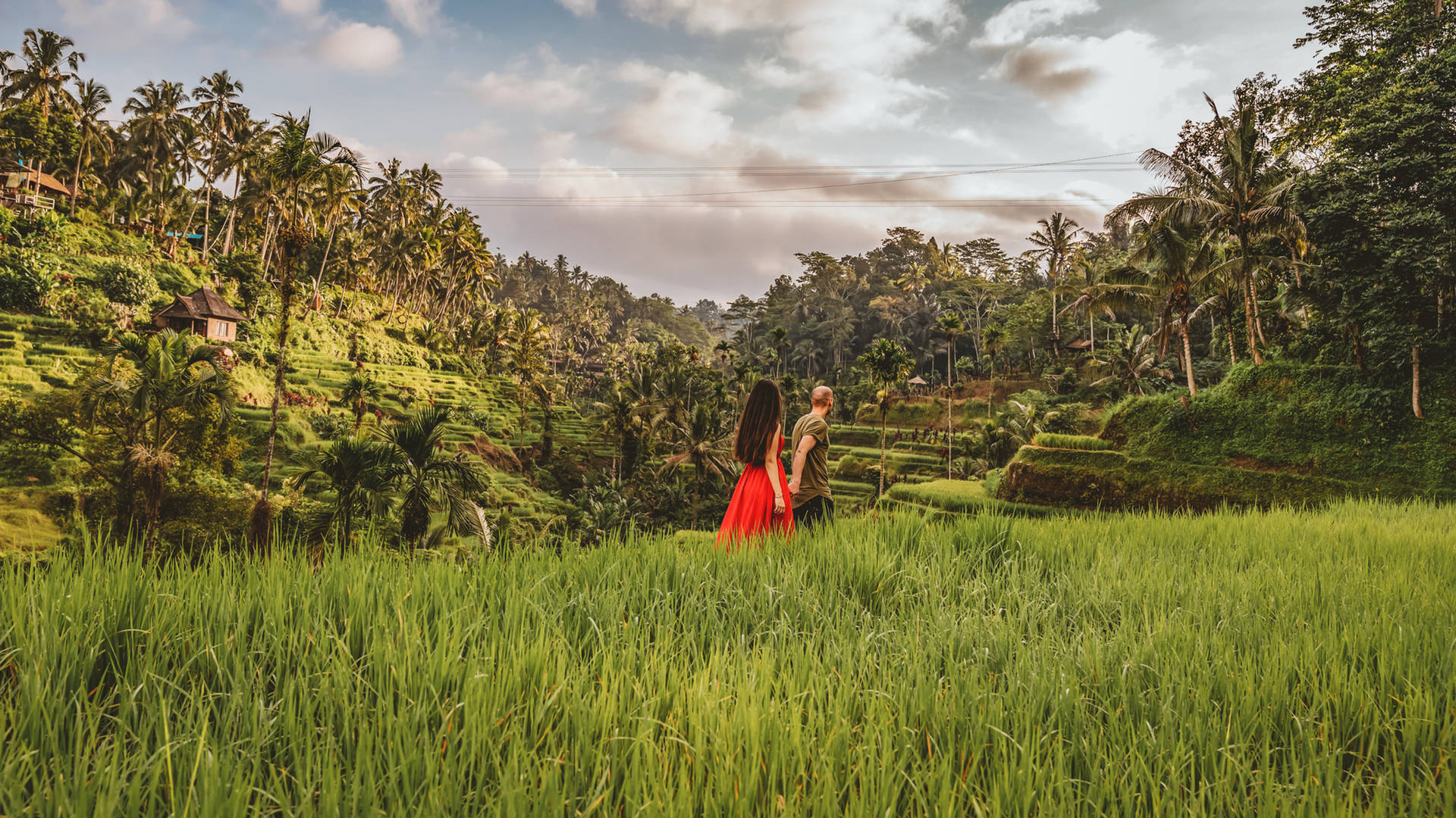 Emerald green rice paddies in Bali