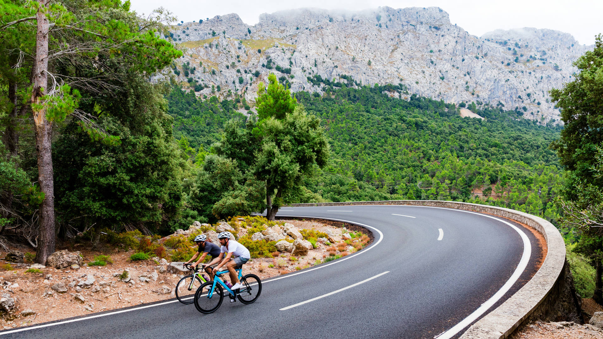 Cyclists riding in Mallorca