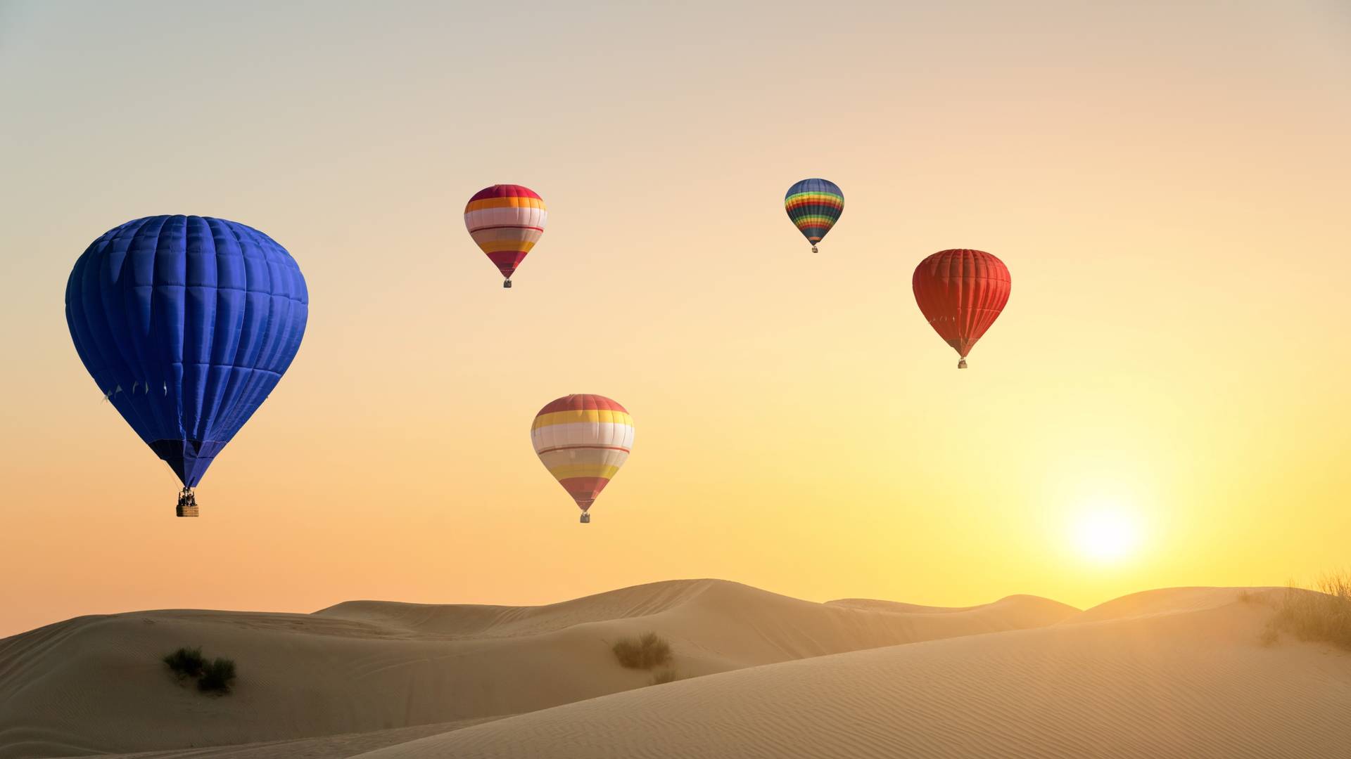 Hot air balloons flying over the desert