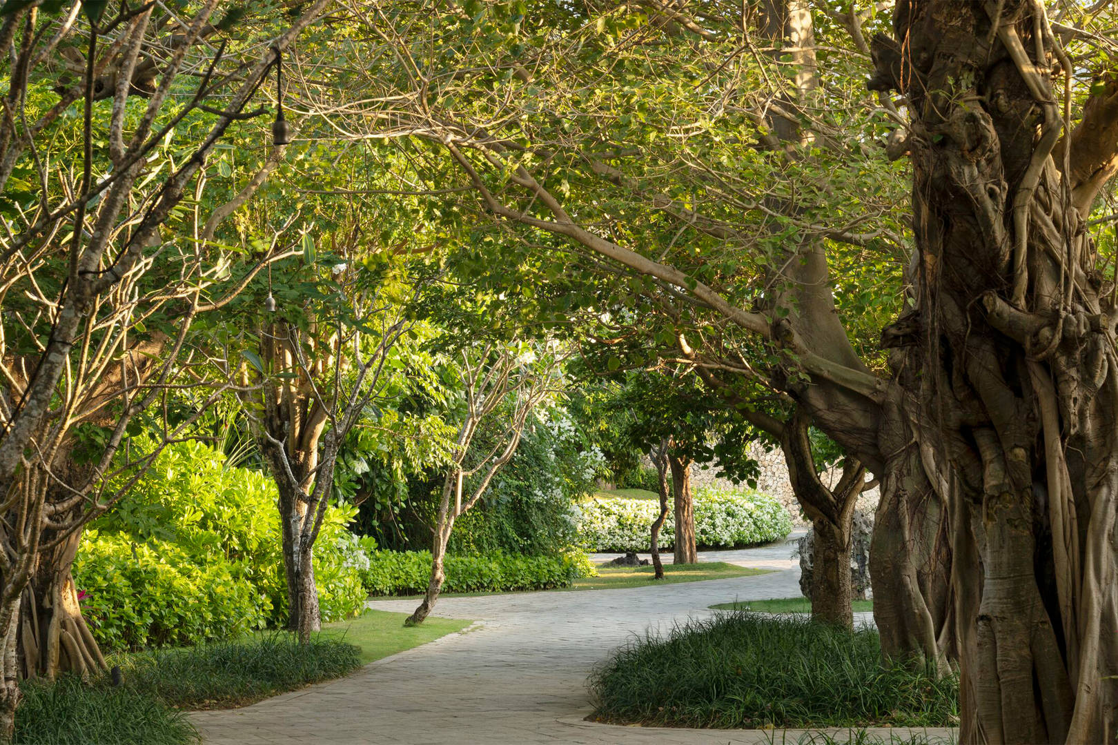 Image of tree-lined Jumeirah Resort area