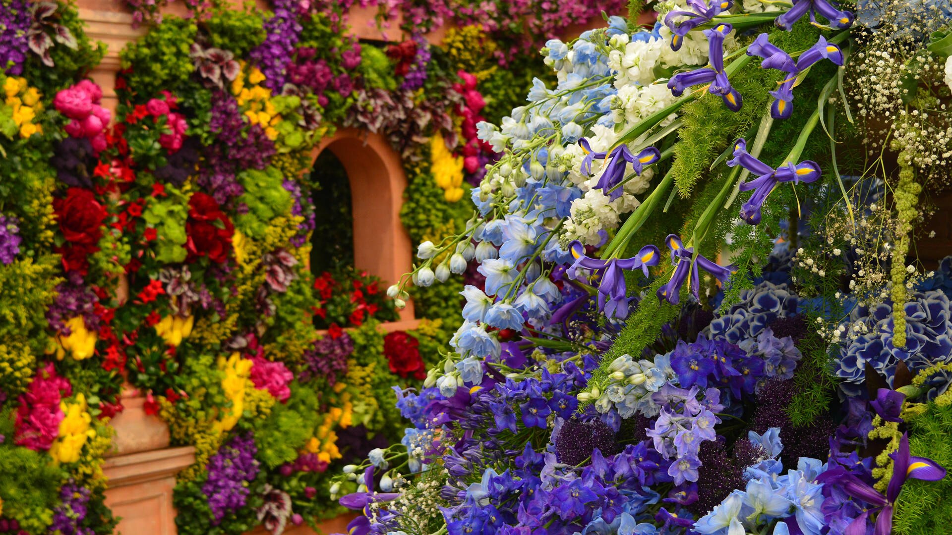 Flowers at the Chelsea Flower Show in London