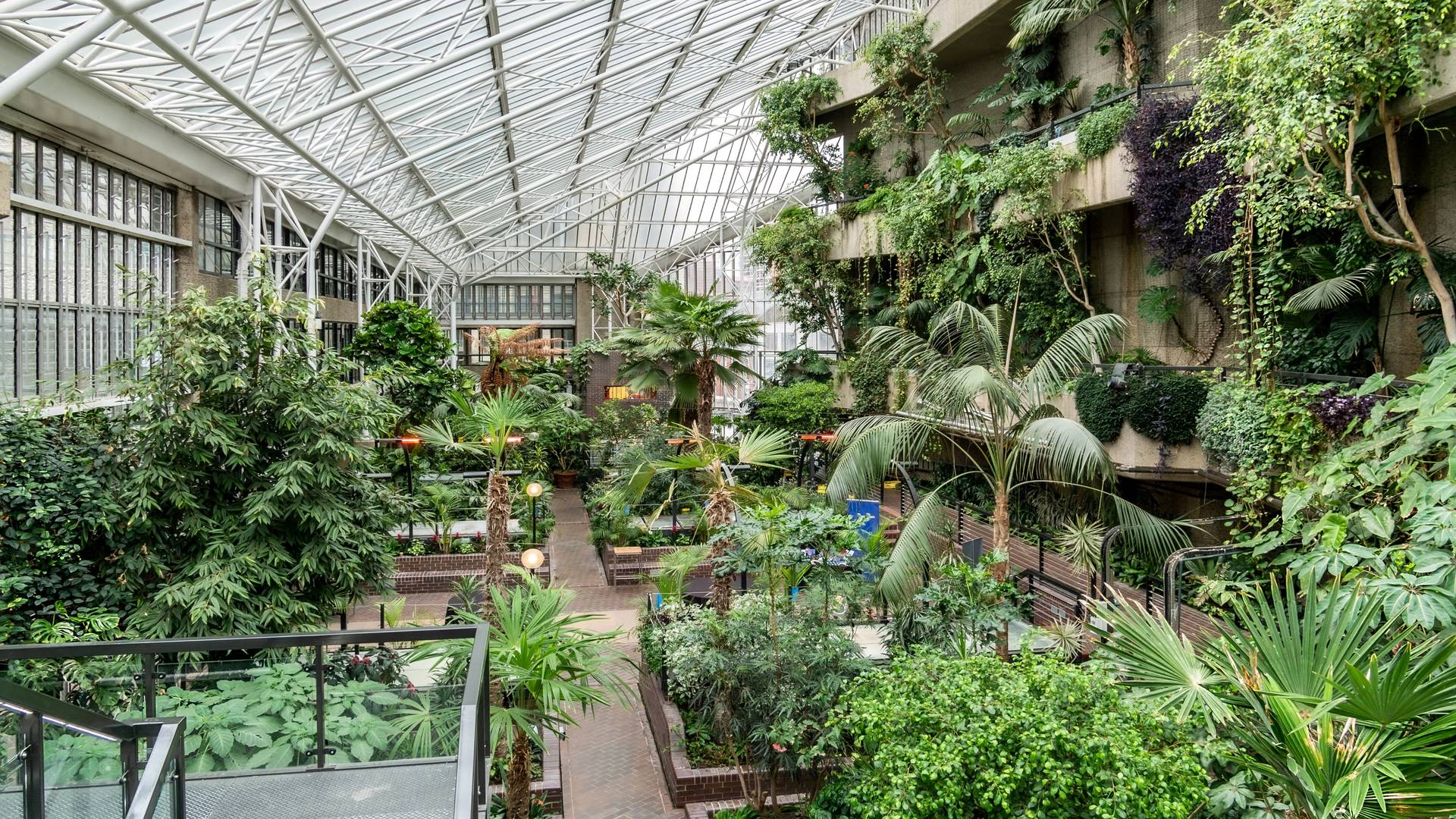 The Barbican Conservatory
