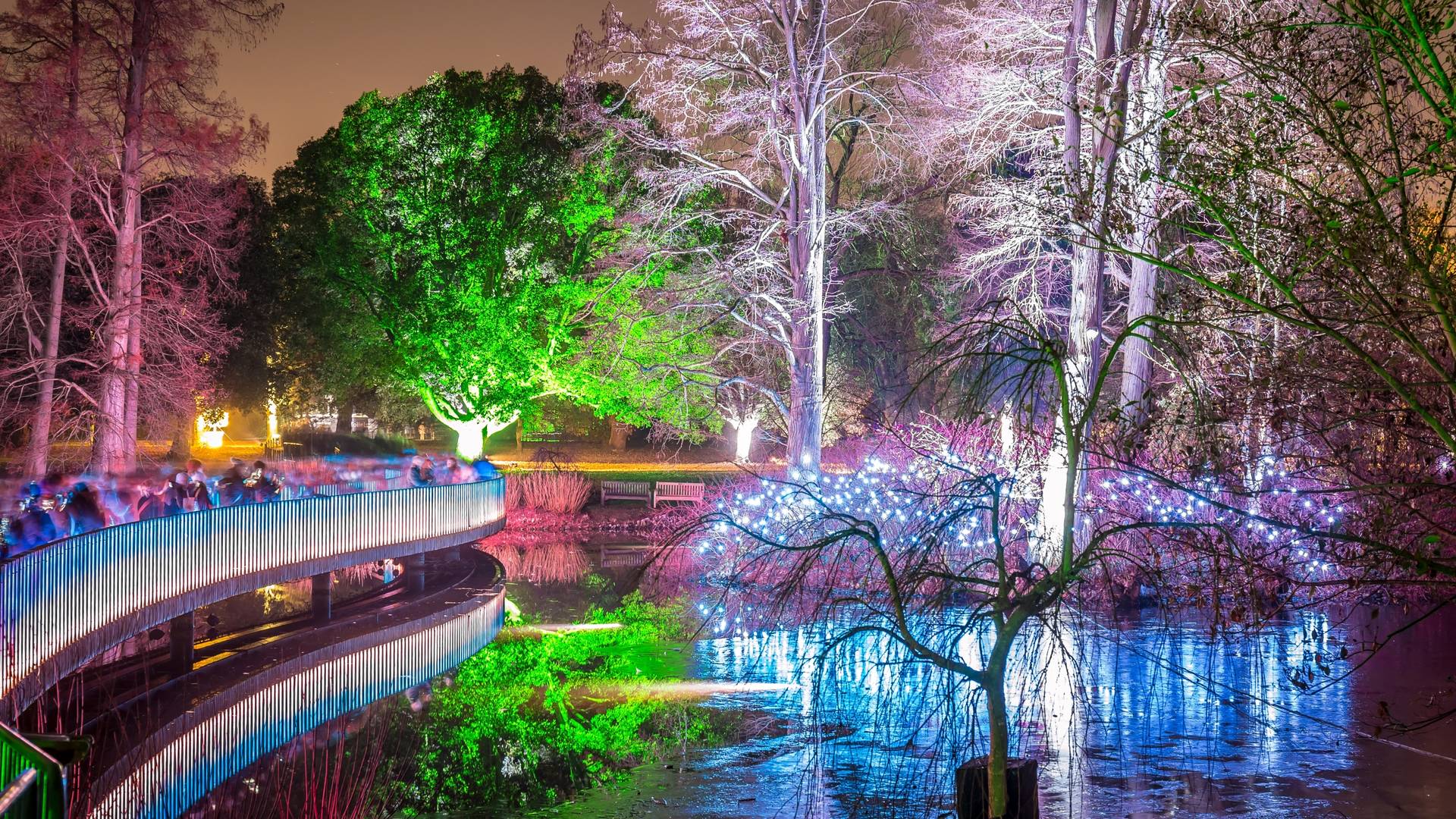 Christmas at Kew