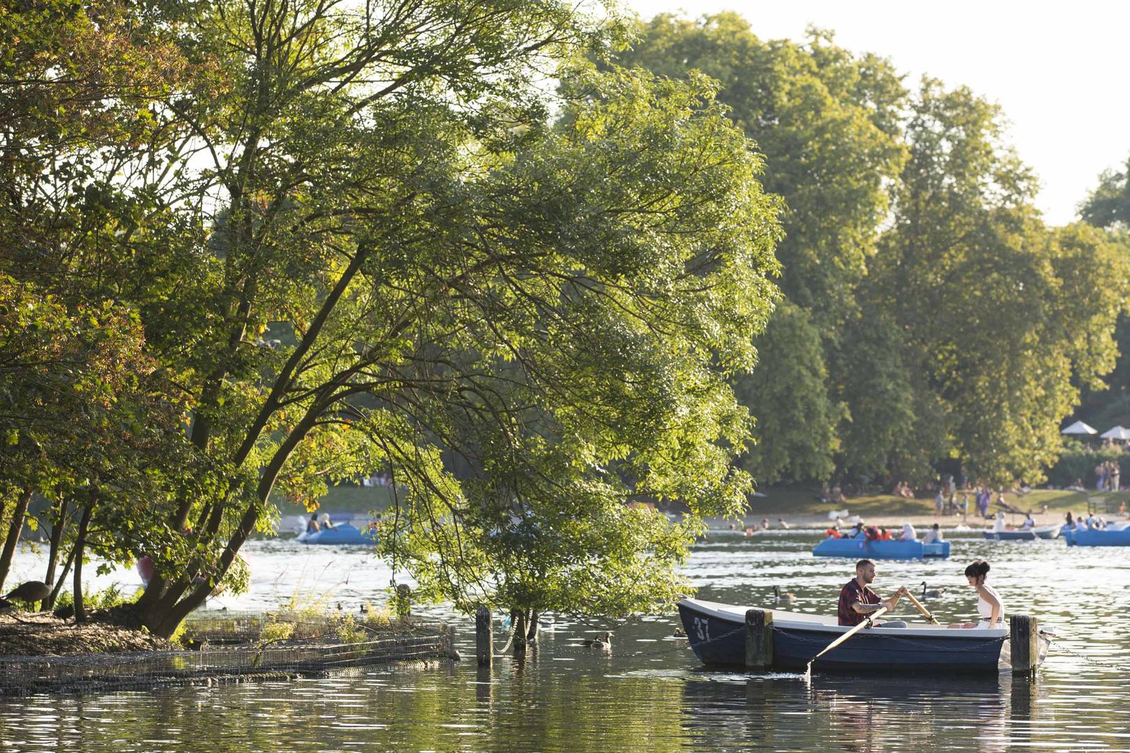 Boats on Hyde Park