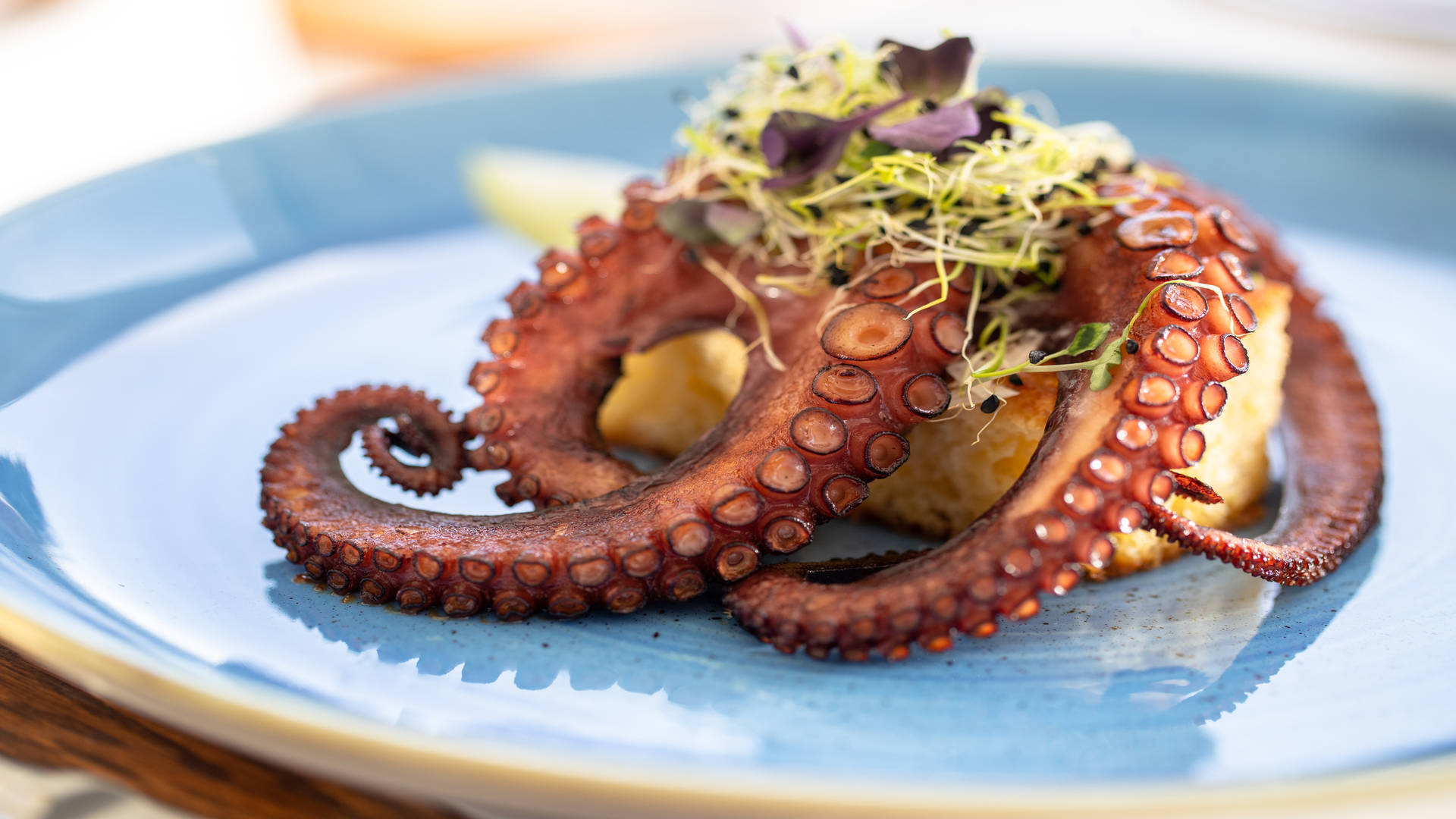 Fresh seafood, Octopus dish at Cap Roig Brassiere at Jumeirah Port Soller Hotel and Spa