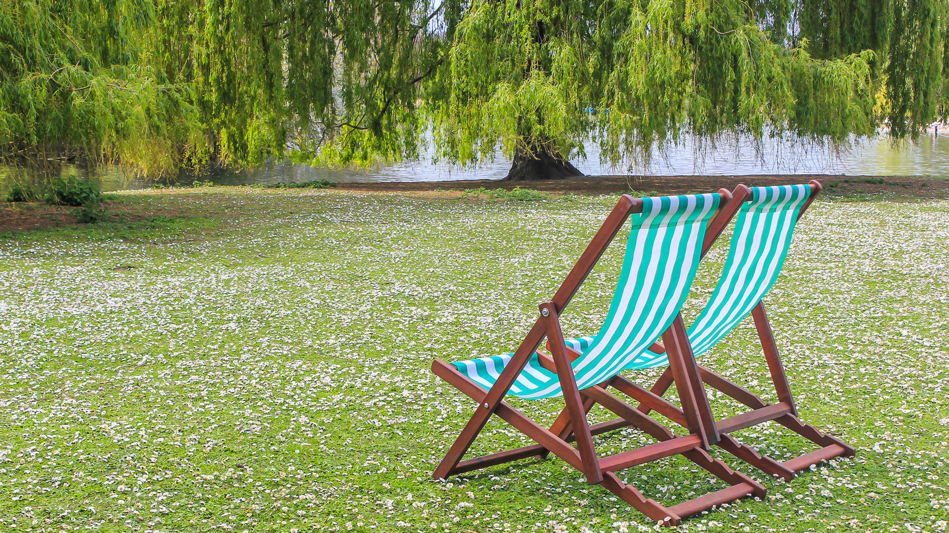 Hyde Park deck chairs