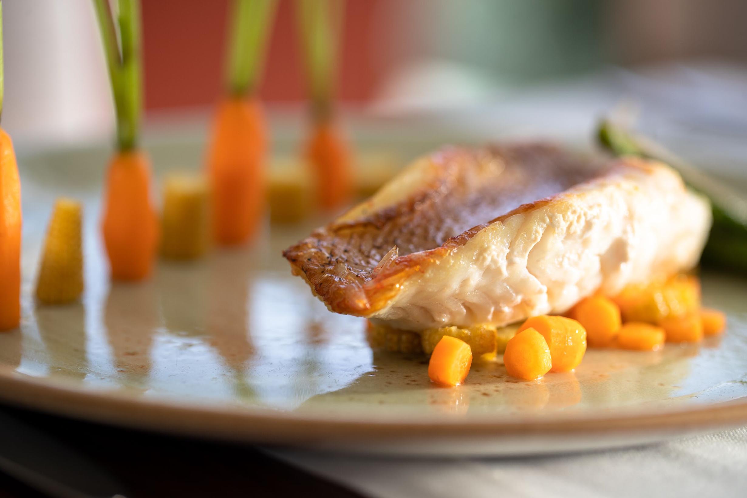 A plate of salmon at Cap Roig Brasserie