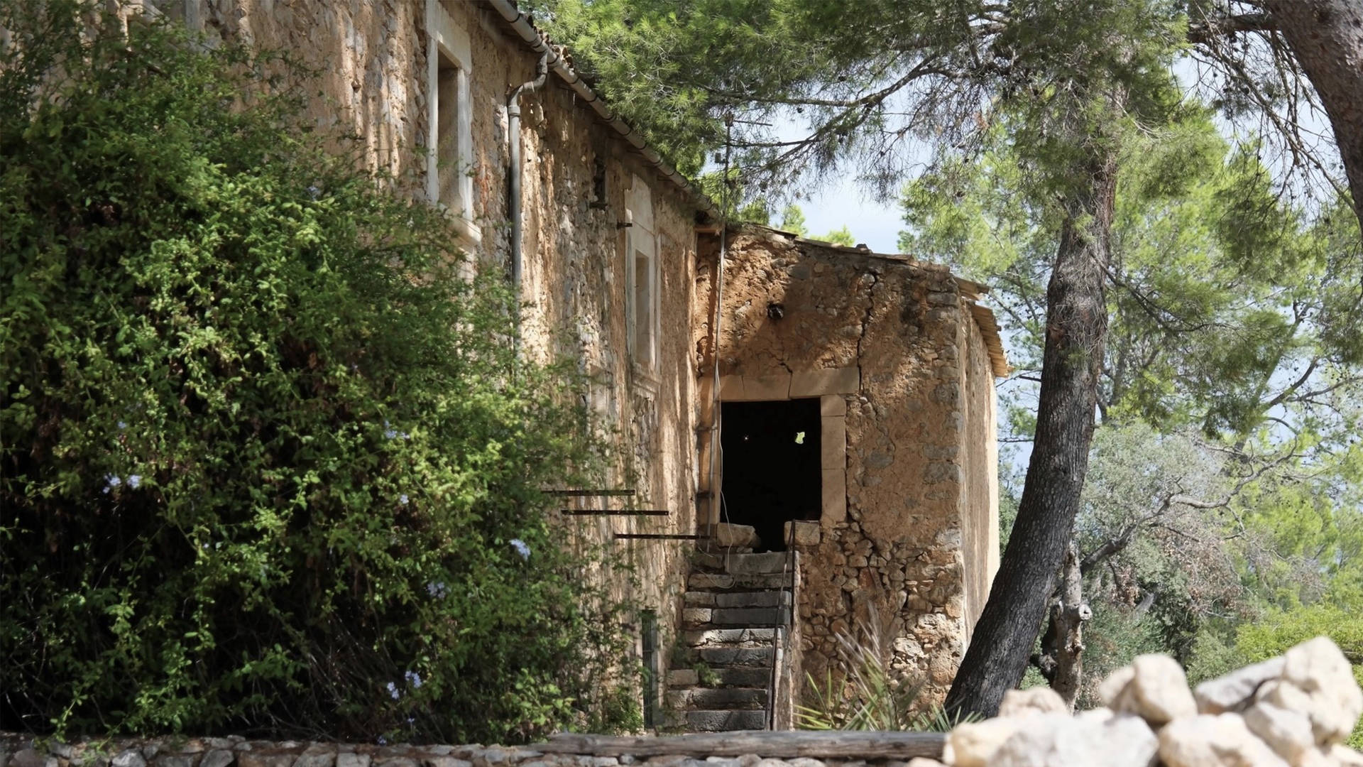 CONTENT Building on truffle farm