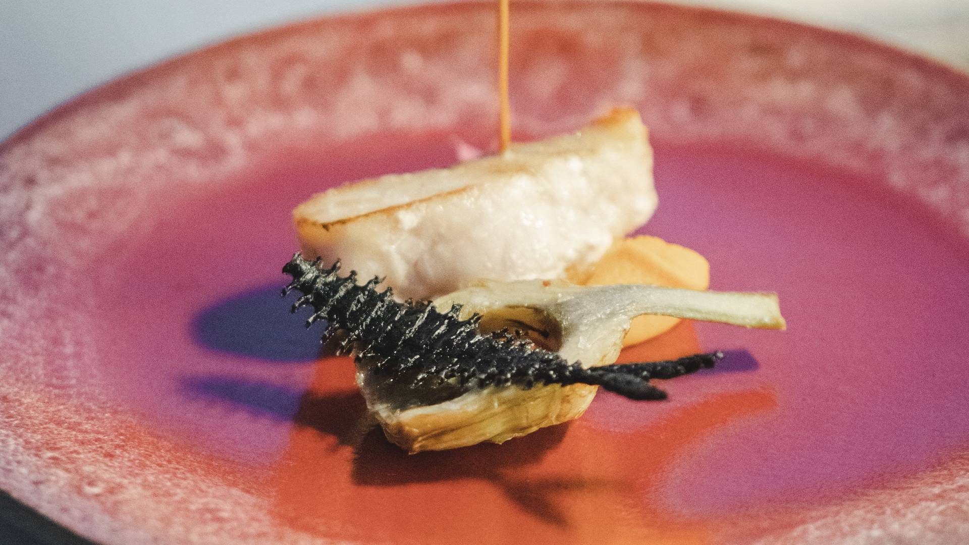 CONTENT Pink truffle food dish