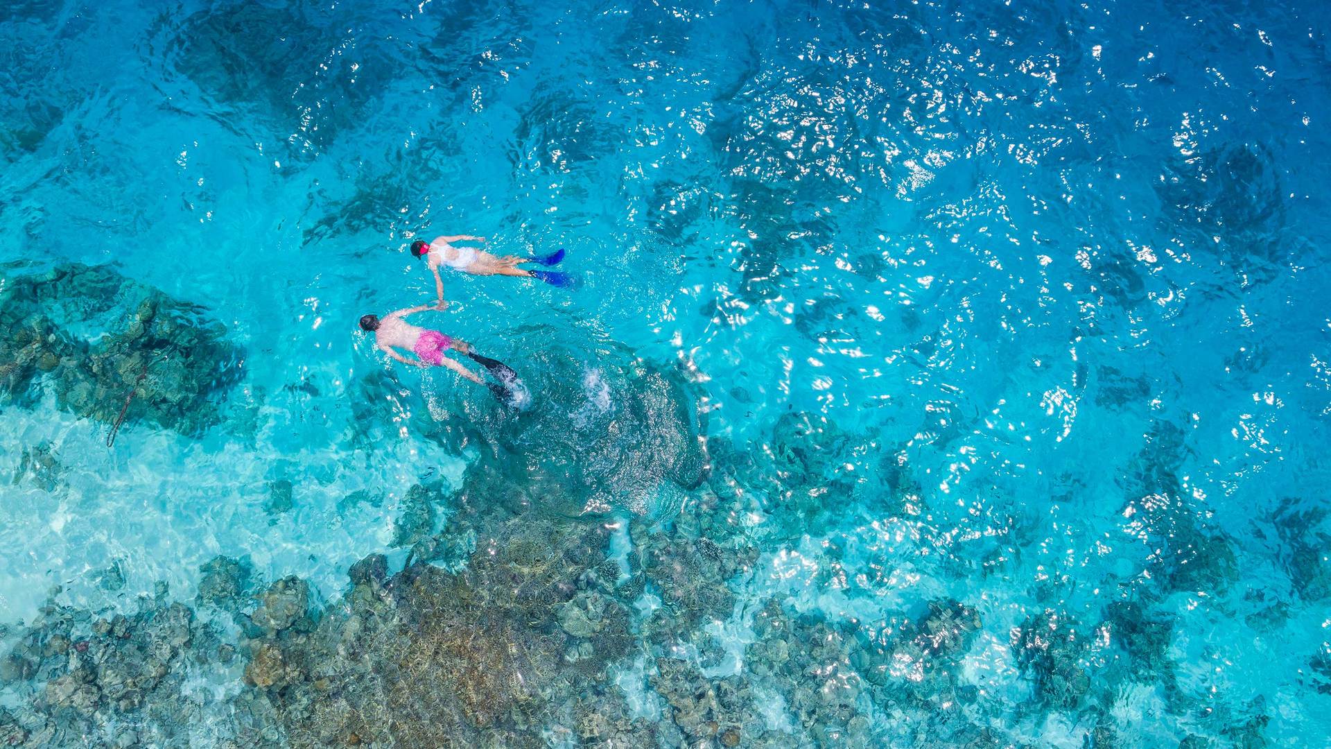 Couple snorkeling in the ocean