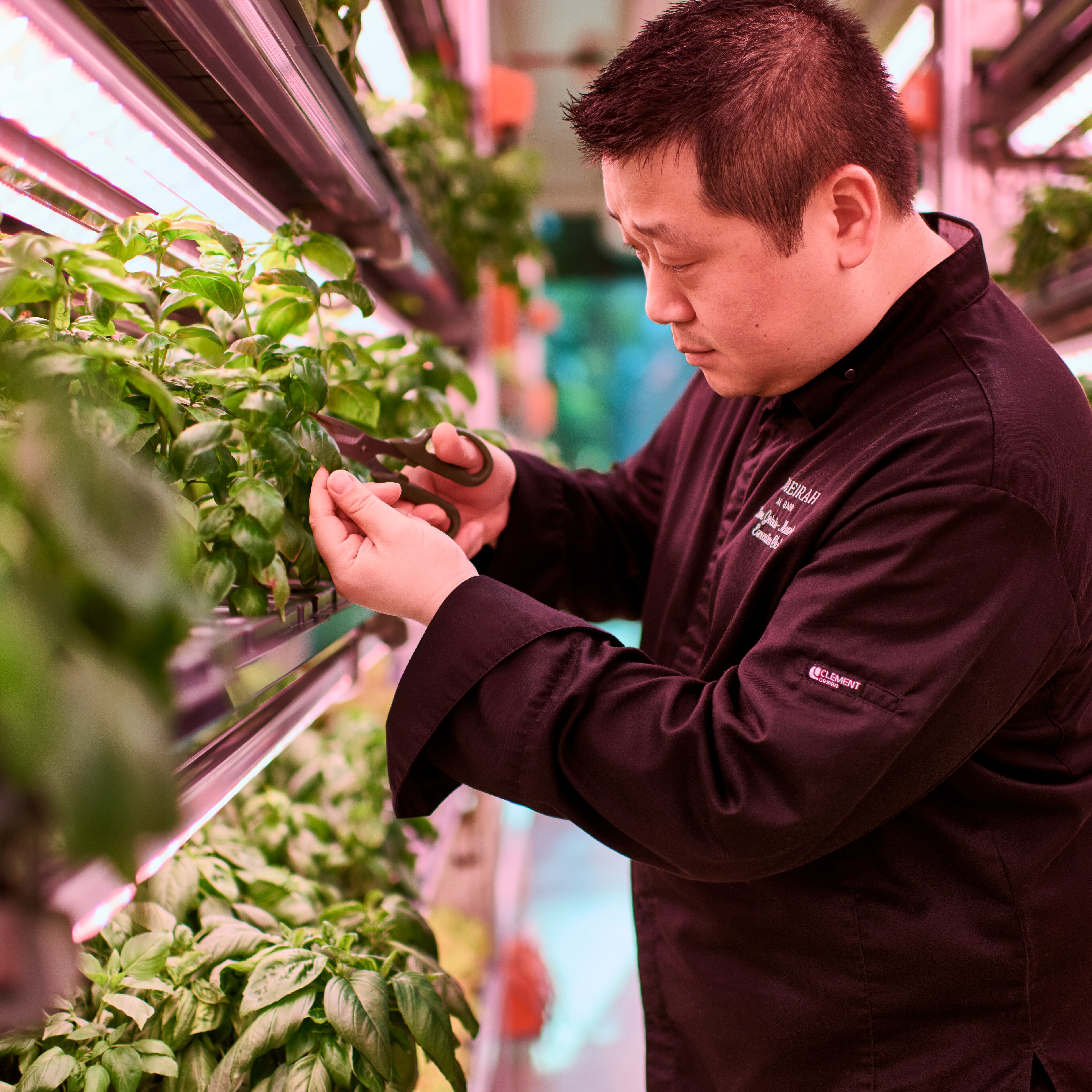 Jumeirah Eco Village_Hydroponic Farm_Interior_Chef.jpg
