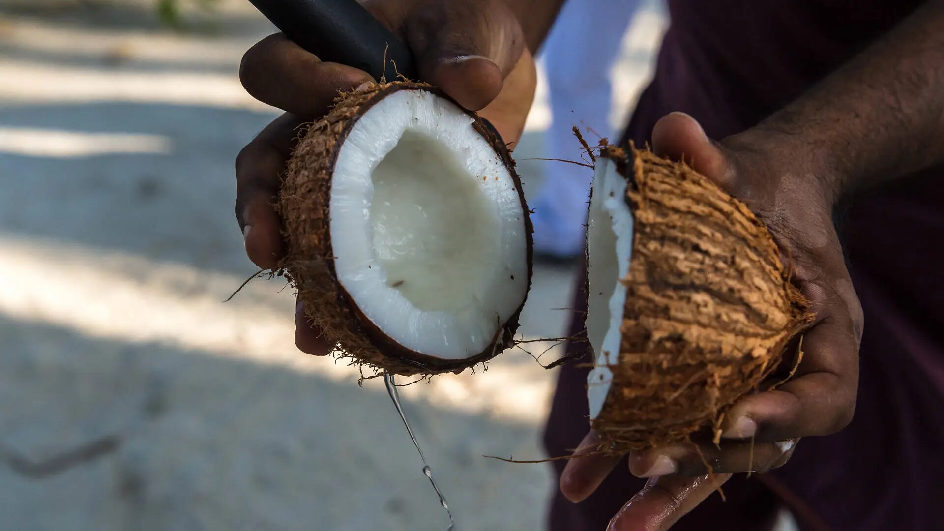 maldives maldivian coconut oil