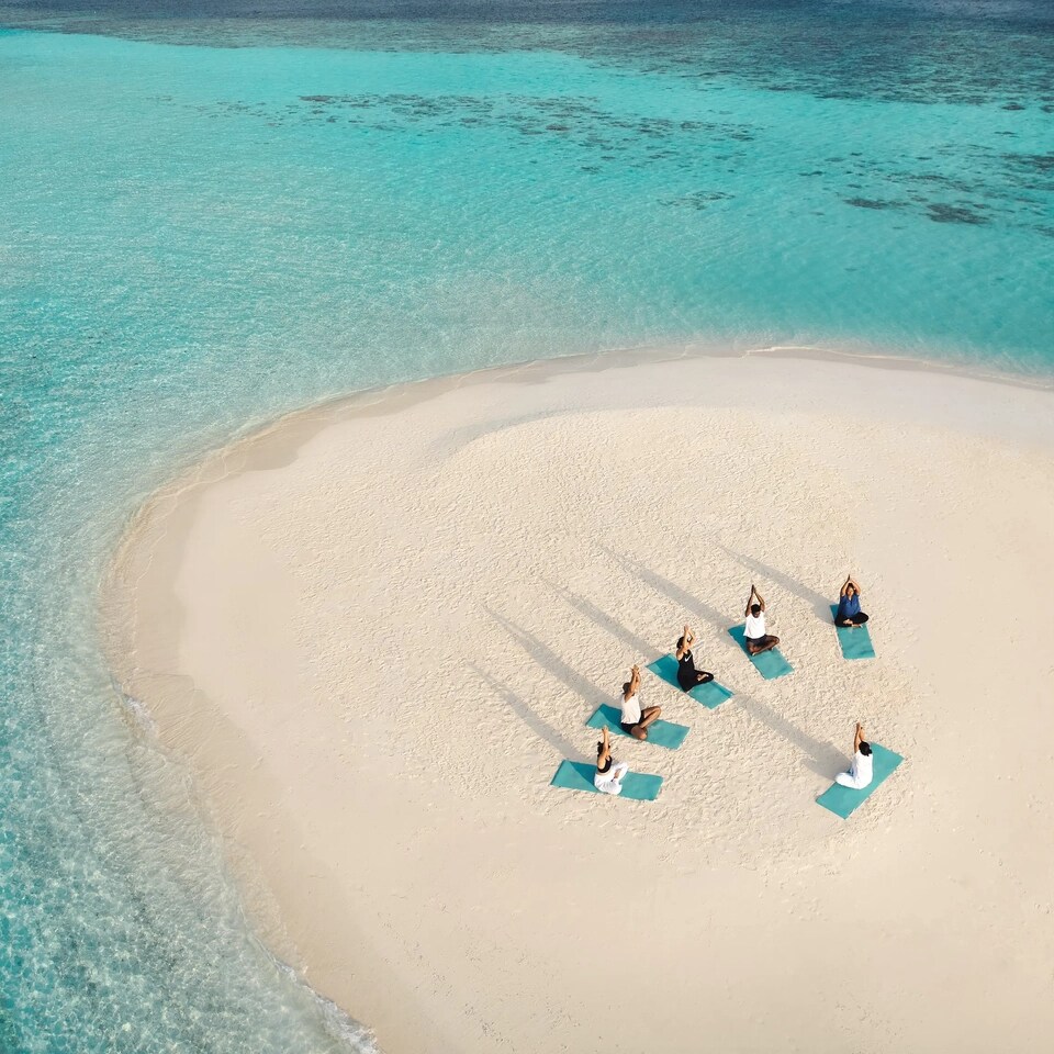 Wellness Oasis