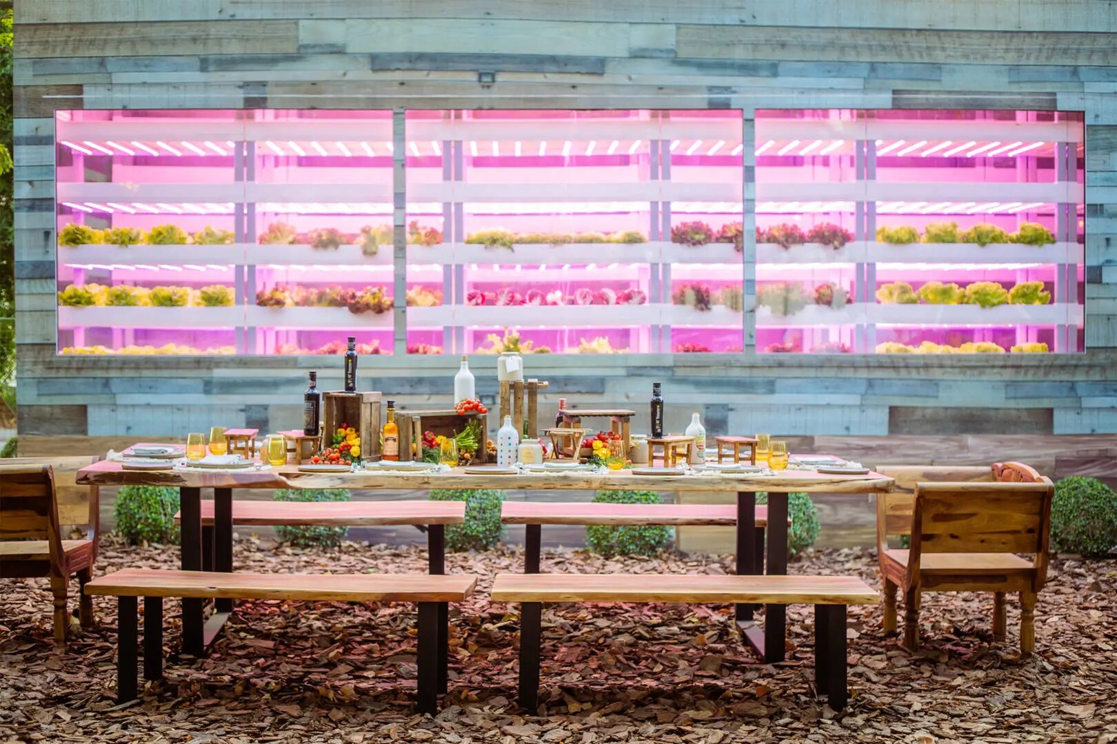 Hydroponic Farm Table at Jumeirah Zabeel Saray