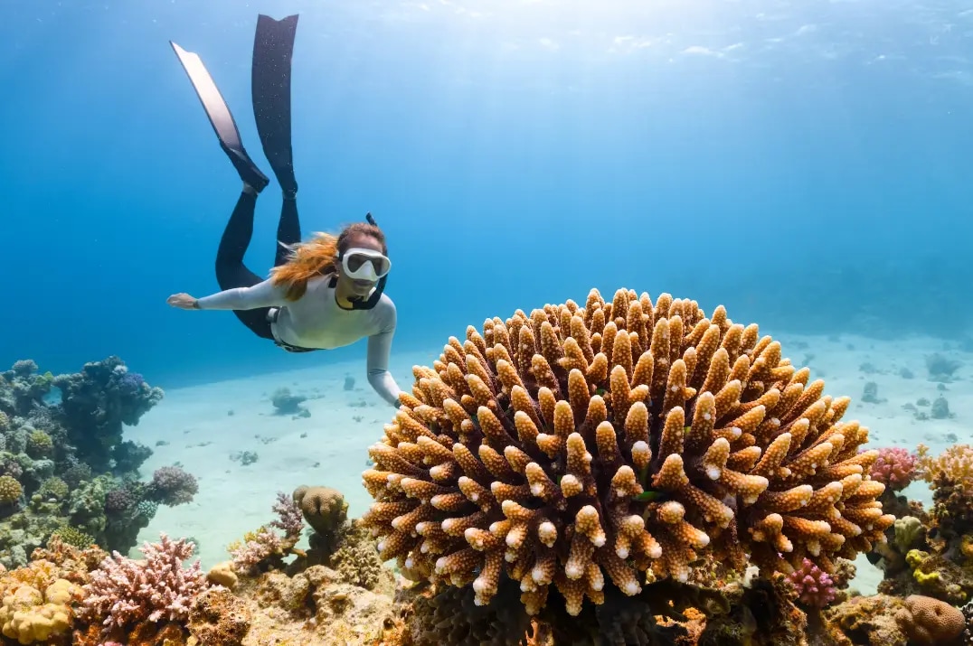 Jumeirah Maldives Marine Biology