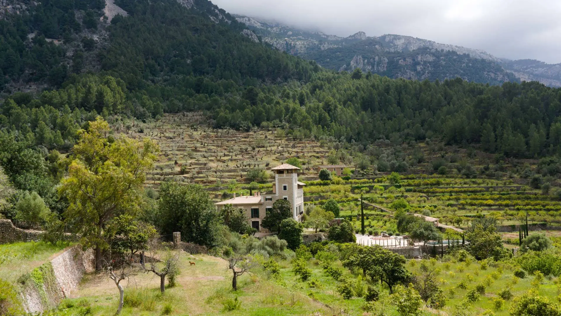 Biniaraix