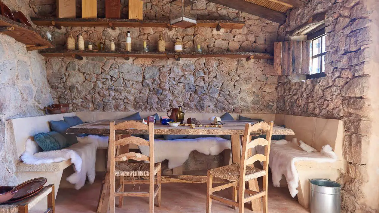 The Art of Olive Oil