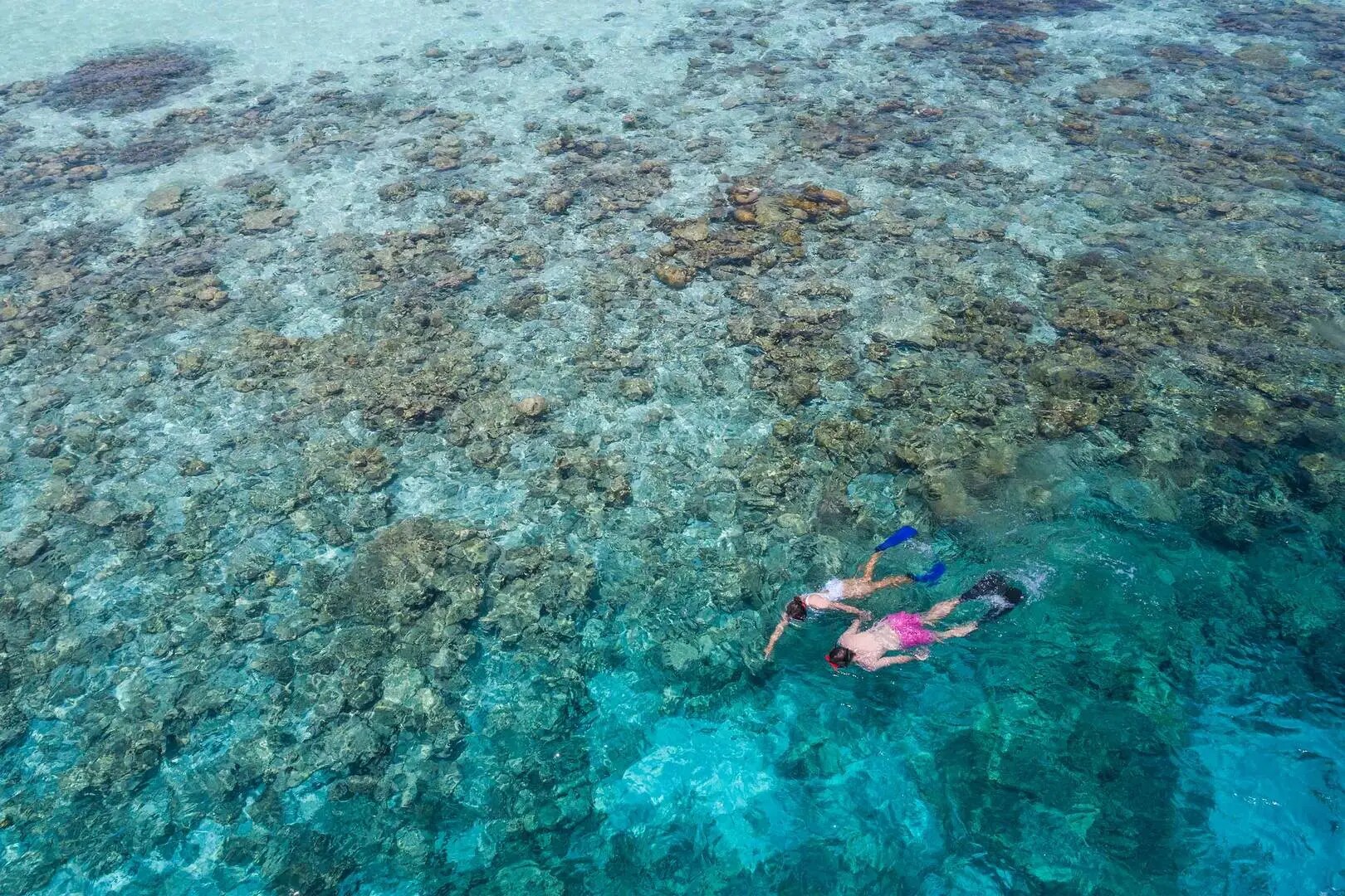 Water Sports at Madinat_6-4_Jumeirah Vittaveli - Housereef Snorkeling