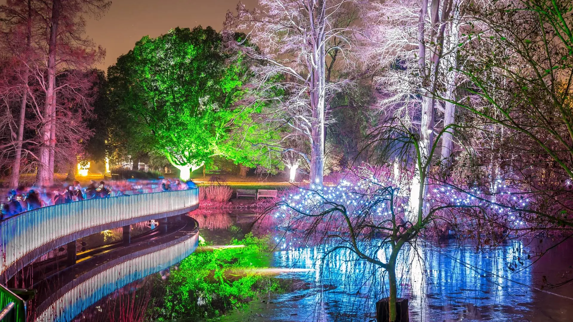 Christmas at Kew