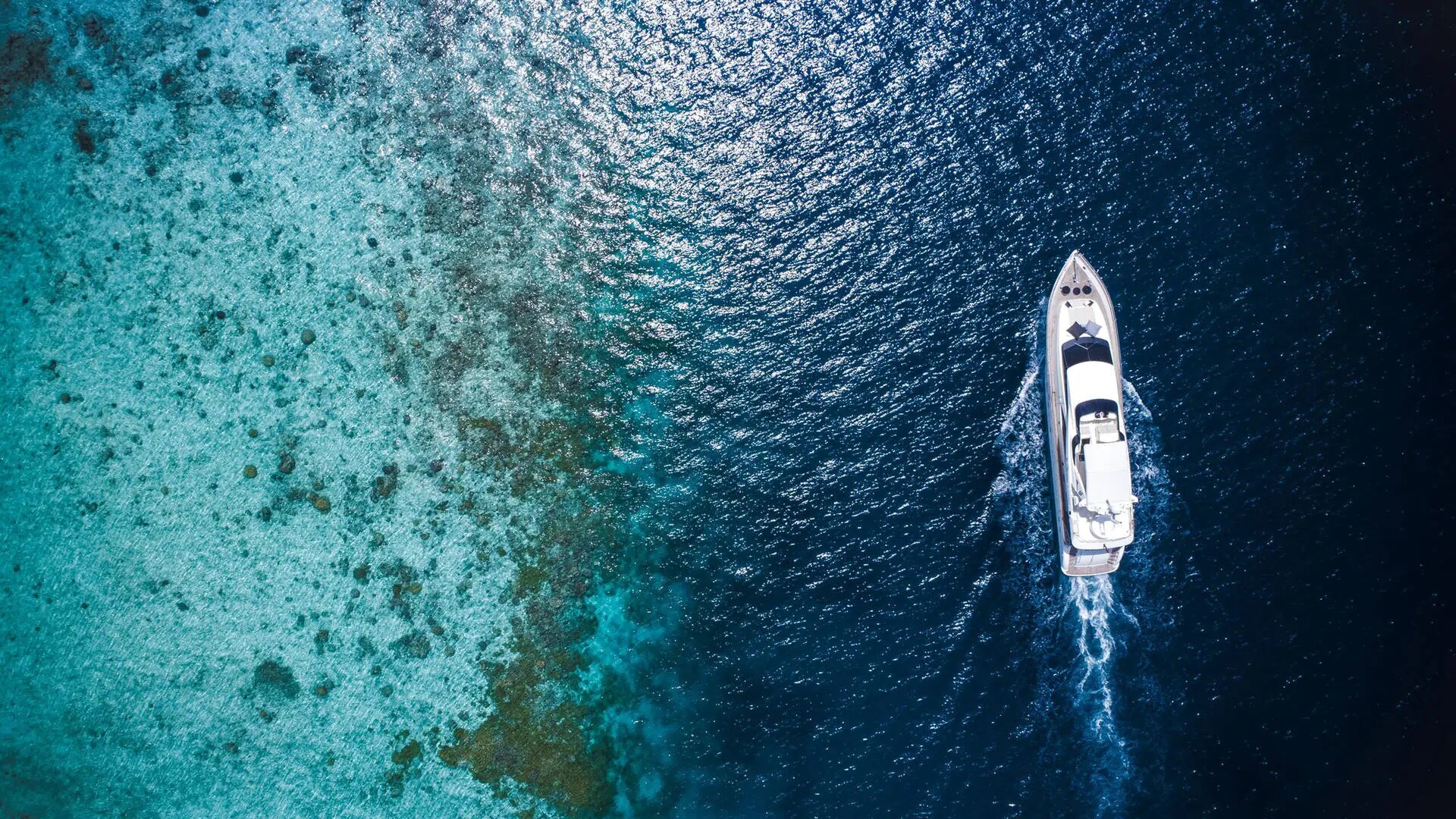 MY Vittaveli