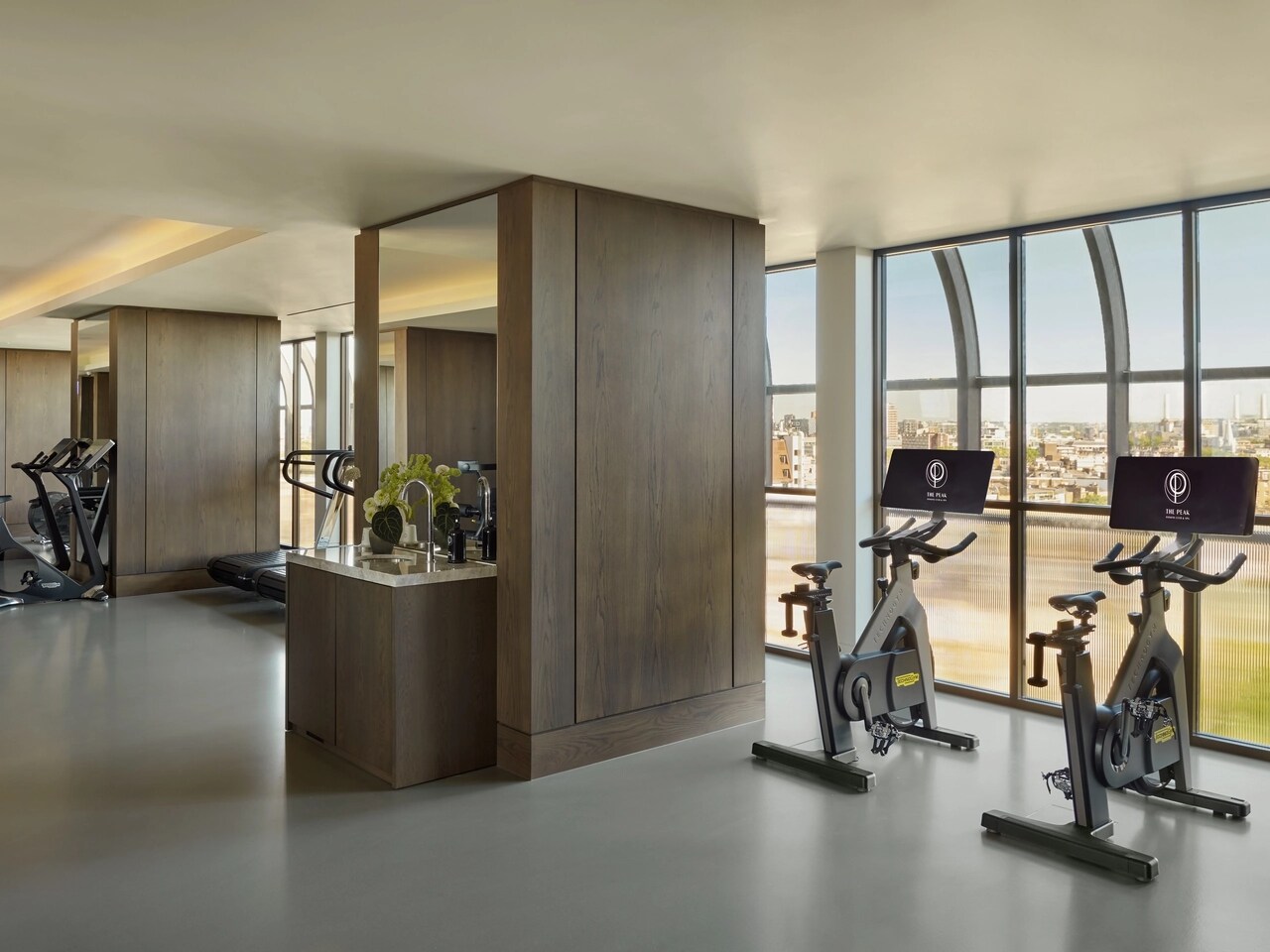 Jumeirah Carlton Tower_The Peak_Fitness Floor