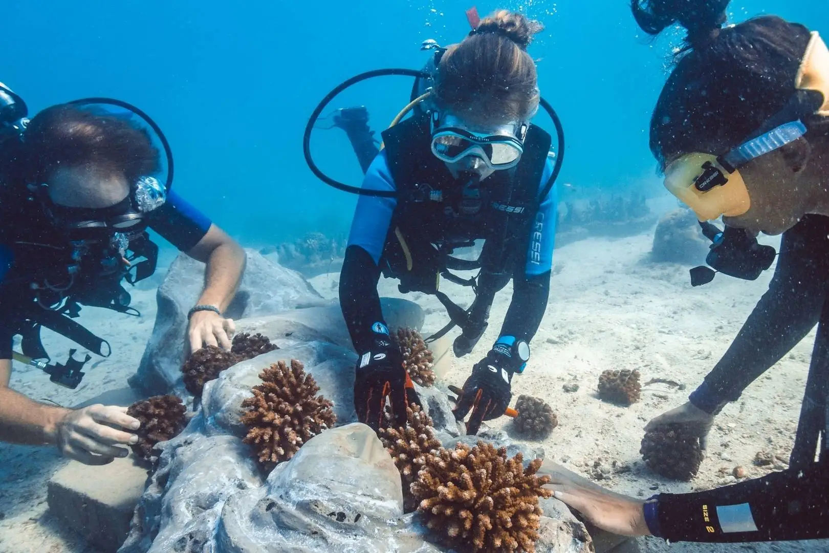 Preserving the Ecosystem