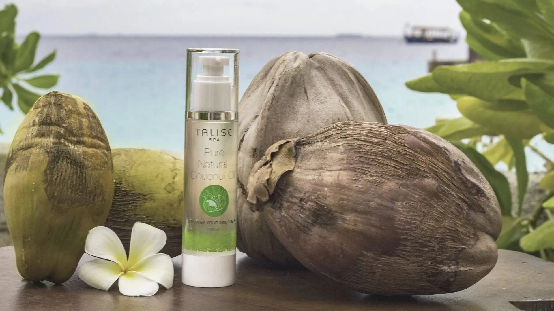 lotions maldivian coconut oil