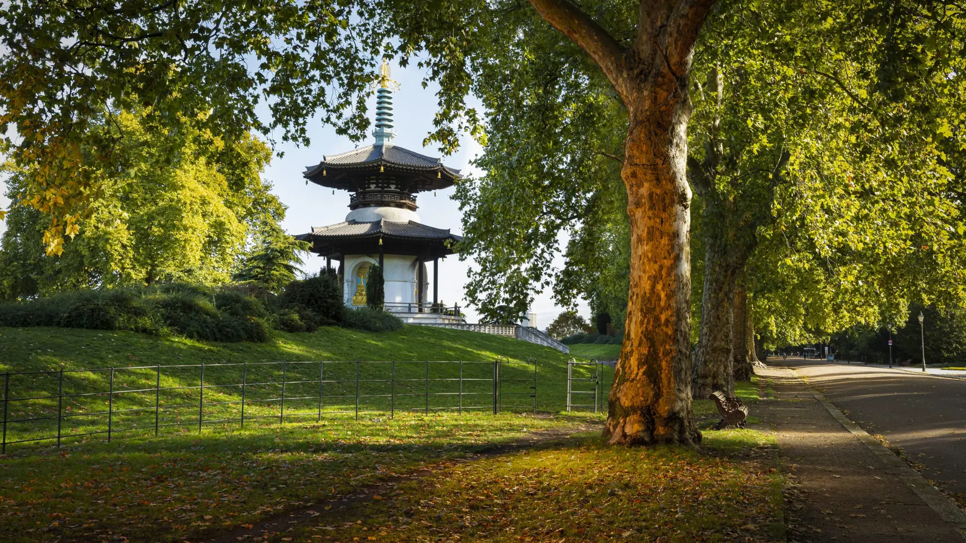 JLH_Bike Article 3 1920 x 1080