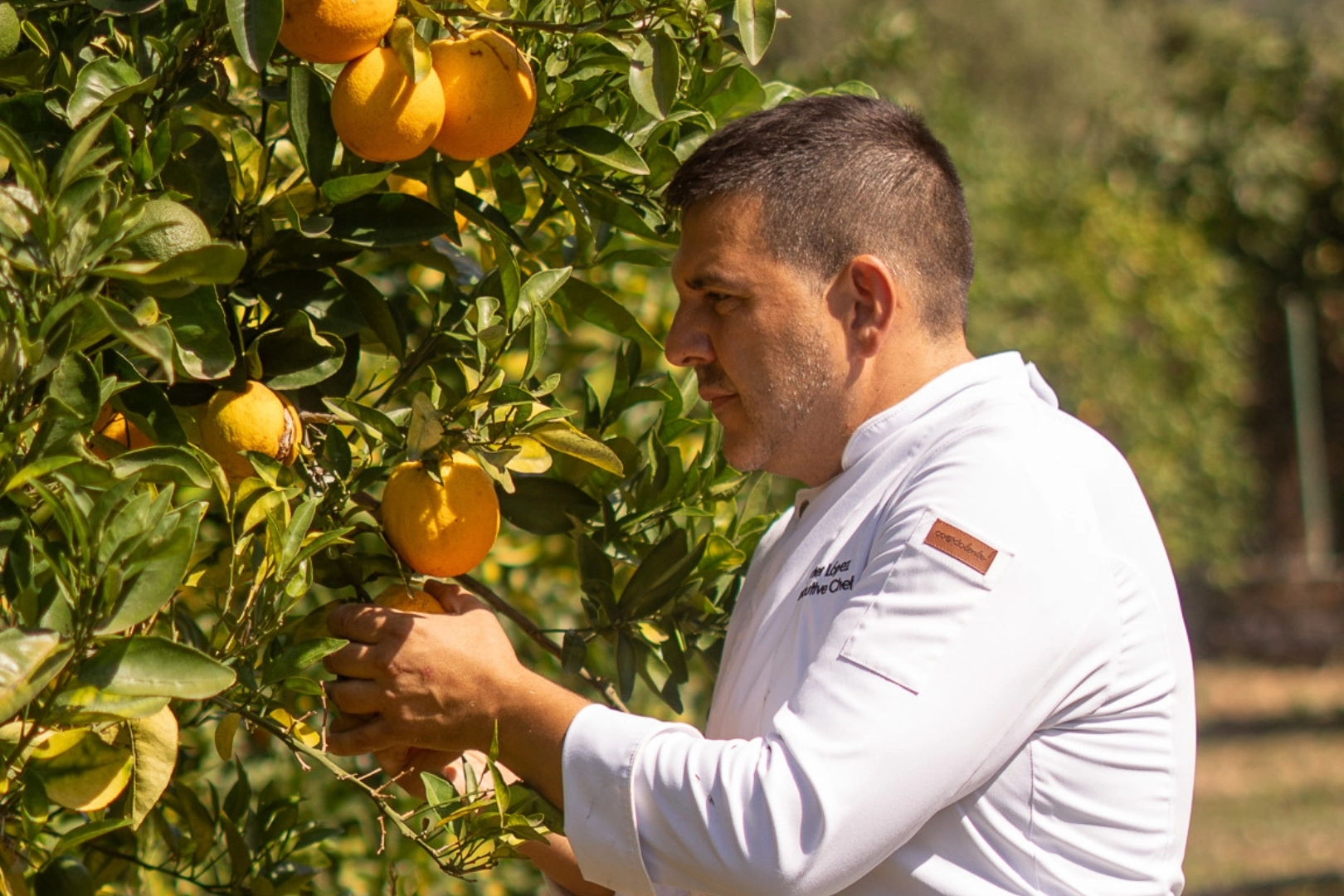 Jumeirah Mallorca - The Sóller Valley Experience.jpg