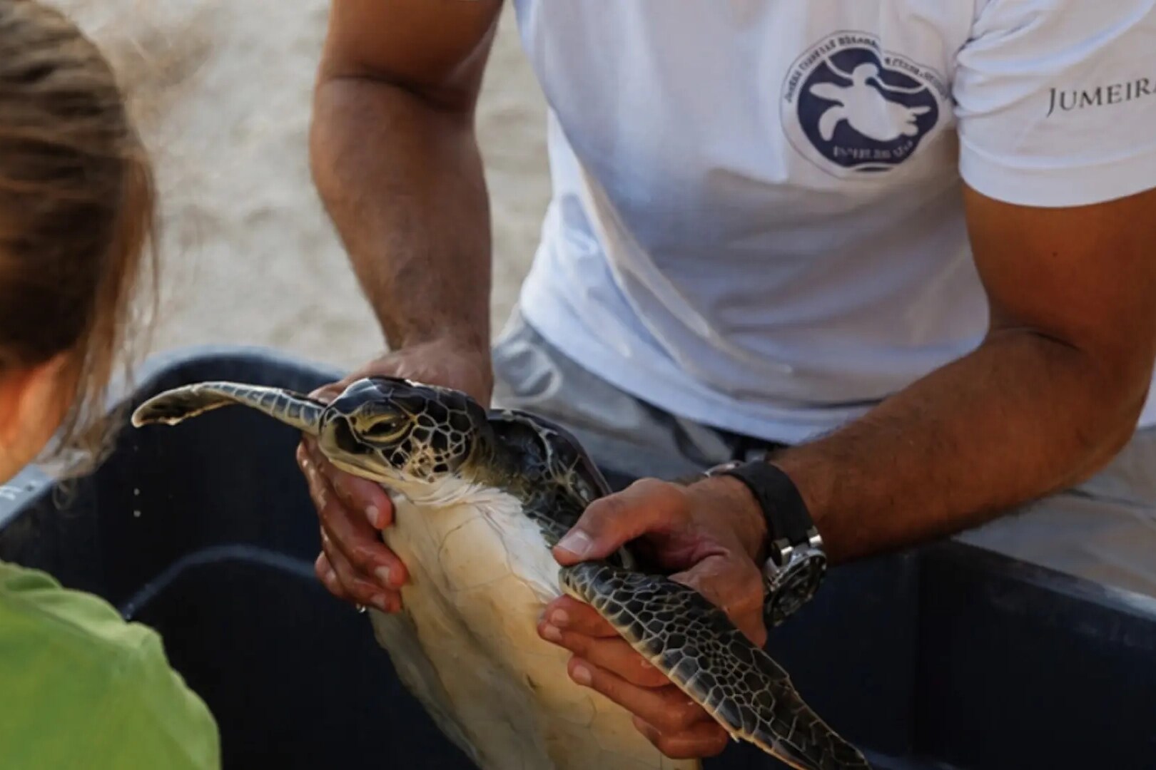 Jumeirah Al Naseem_Sheikh Fahim with Sea Turtle.png